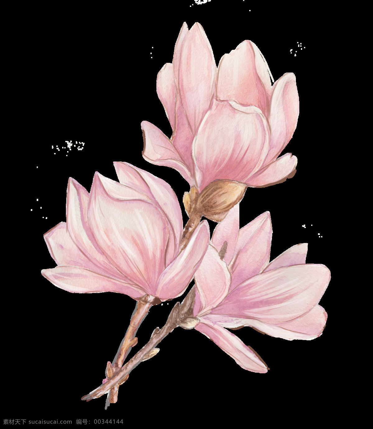 手绘 逼真 花朵 透明 合集 免 扣 白色 插画 粉色 黑色 花瓣 花茎 渐变 橘色 卡通 手账素材