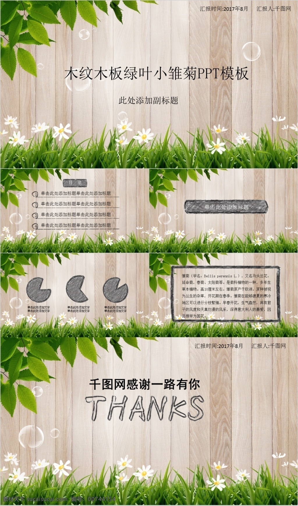 木纹 木板 绿叶 小雏 菊 模板 简约 唯美 清新 纹木 ppt模板
