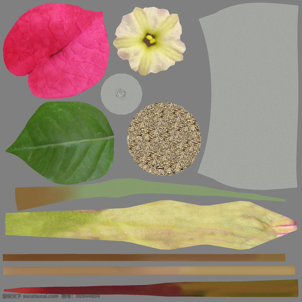 深 粉色 花朵 盆栽 模型 室内 植物 现代 深粉色 3d模型