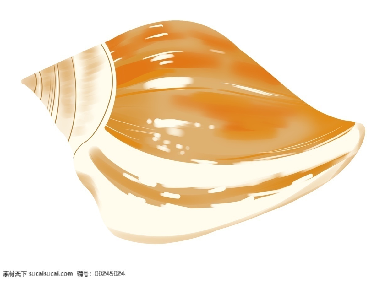 卡通海螺插图 卡通 海螺 黄色
