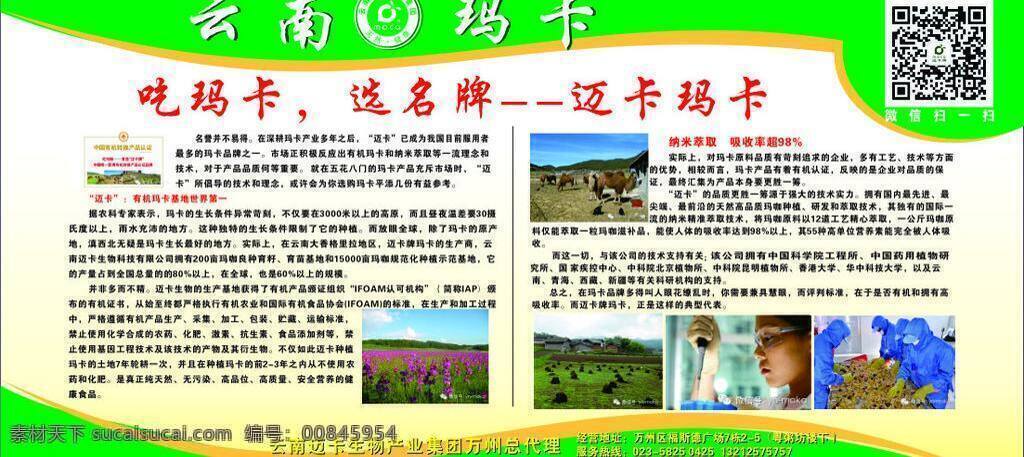 玛卡免费下载 保健 高原 绿色 玛卡 云南 招贴设计 海报 其他海报设计