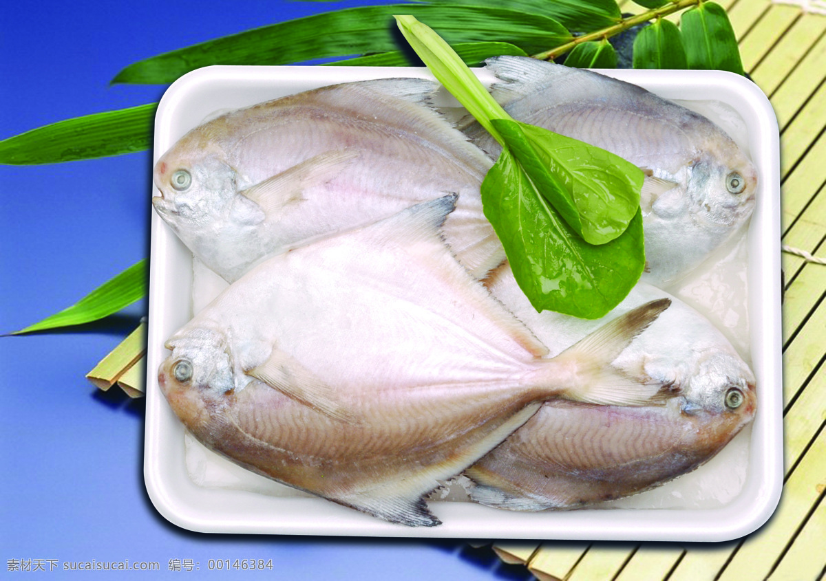 鲳鱼 冷冻鲳鱼 冷冻海鲜 海鲜摄影 海鲜图片 食物原料 餐饮美食
