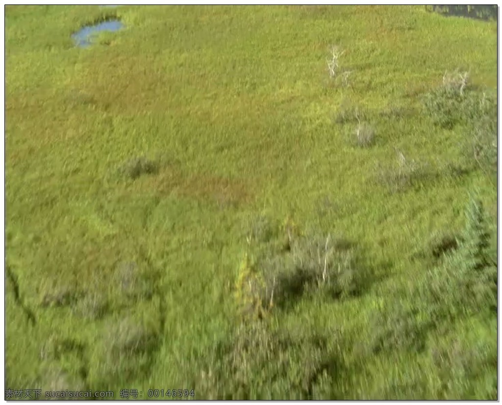 航拍 风景 视频 高清视频素材 视频素材 动态视频素材 美景 草地