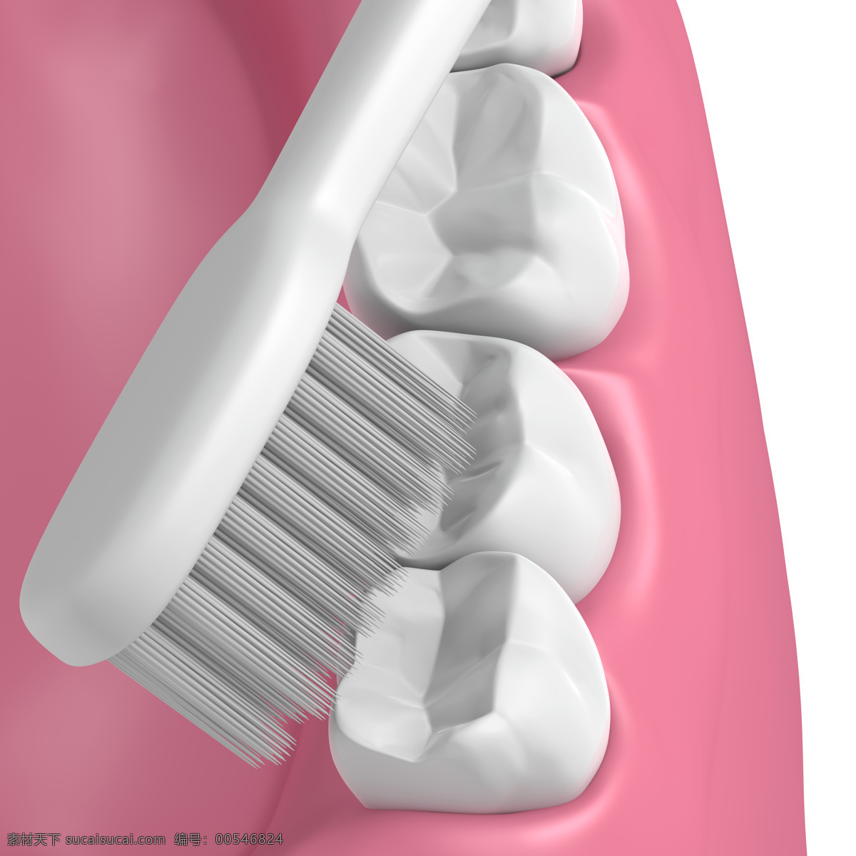 刷牙 假牙 白牙 牙齿 保护牙齿 洁白牙齿 健康牙齿 口腔护理 3d设计 3d作品