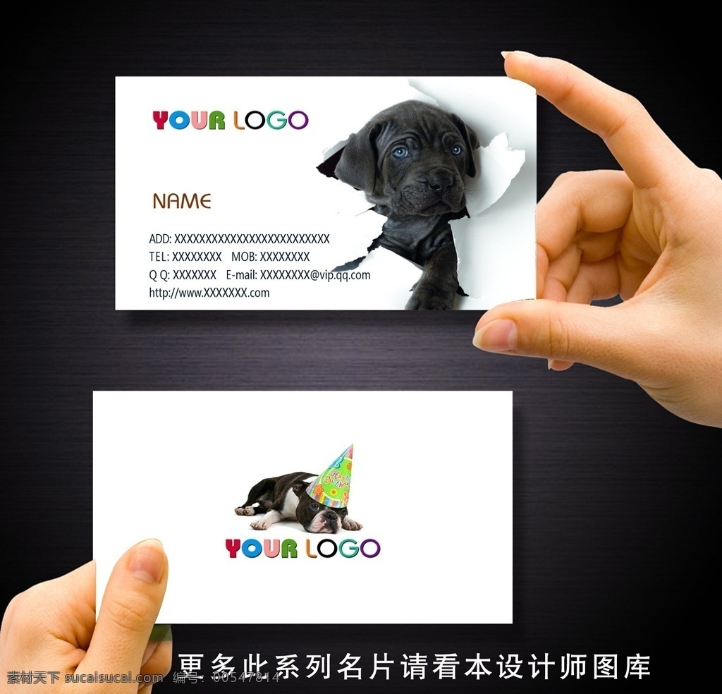 宠物名片 宠物医院名片 宠物店名片 创意宠物名片 宠物 宠物店 宠物食品名片 狗粮名片 狗粮 宠物美容名片 宠物美容店 动物名片 名片卡片