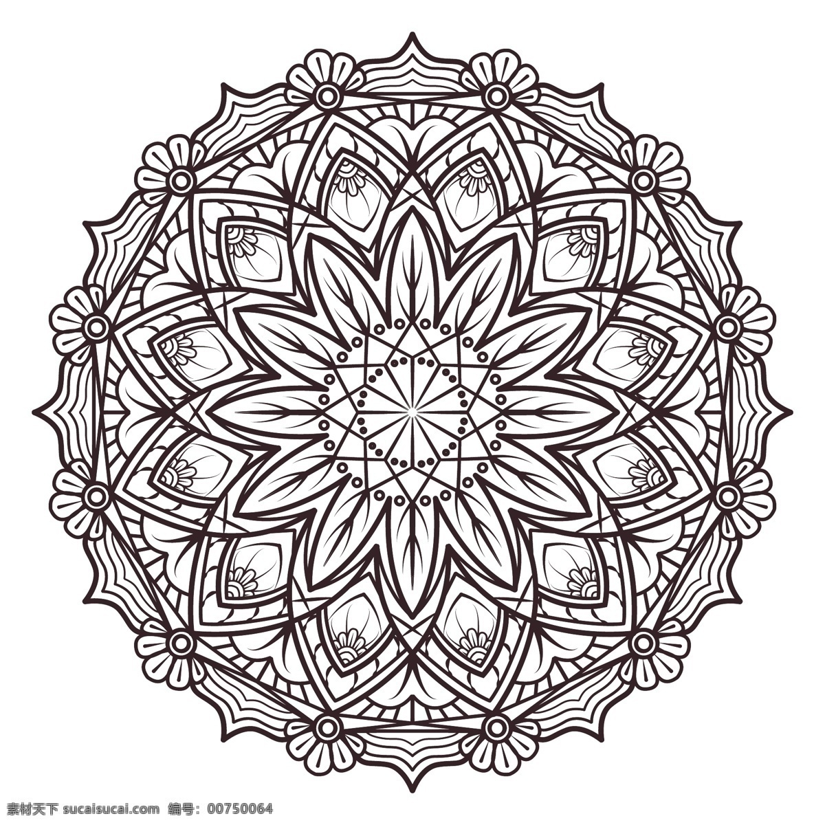 黑白 曼陀罗 花卉 抽象 装饰 黑色 阿拉伯 印度 形状 伊斯兰教 白色 花卉装饰 东方 象征 抽象的形状