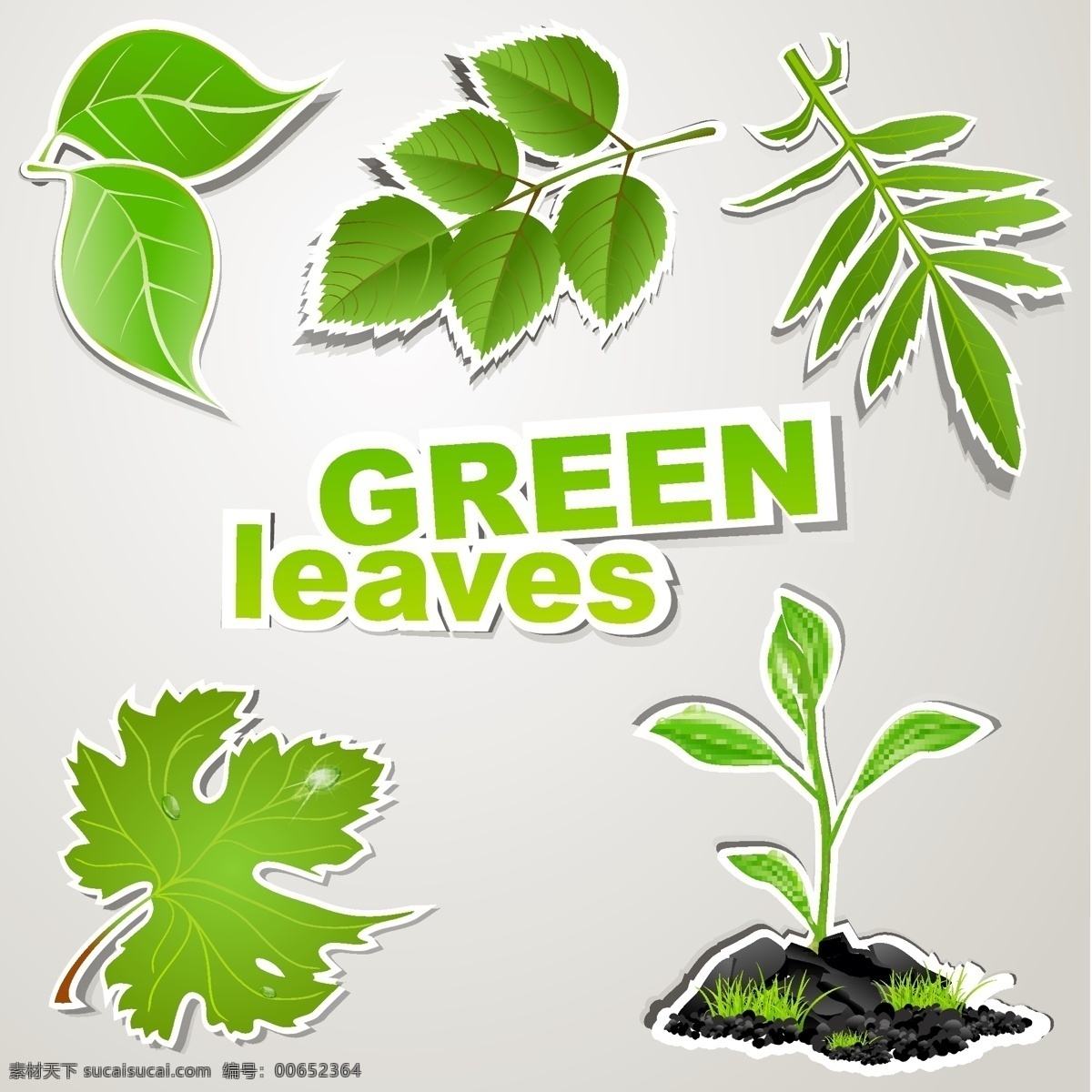 绿色环保 叶子 环保 绿色 树叶 素材图片 植物矢量图 矢量图 形态 花纹花边