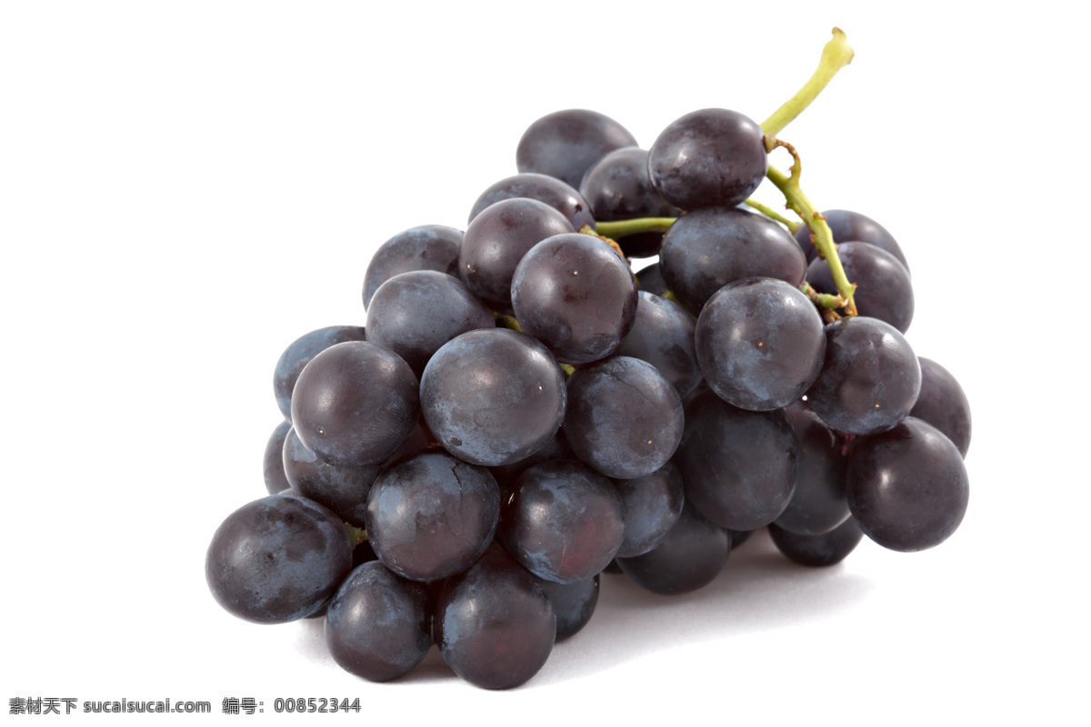海报 葡萄上市 提子 葡萄熟了 葡萄采摘 葡萄提子 葡萄红提 葡萄黑提 生物世界 水果