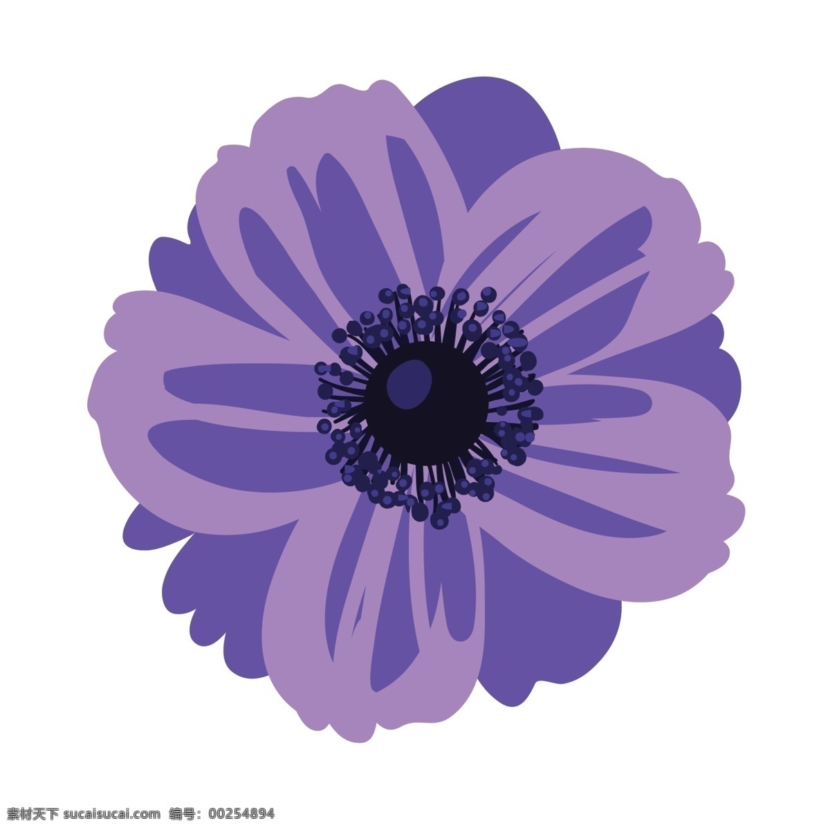 紫色 的卡 通 野 菊花 花朵 深紫色花蕊 紫色的花朵 漂亮的花朵 绿色生态植物 新鲜紫色花朵 免抠图