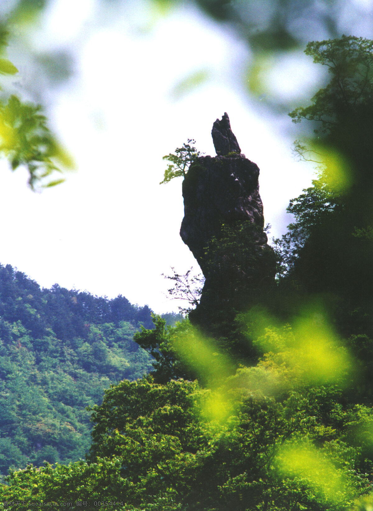 山水武宁 乡村旅游 武宁 旅游 庐山西海 森林 树木 旅游摄影 国内旅游