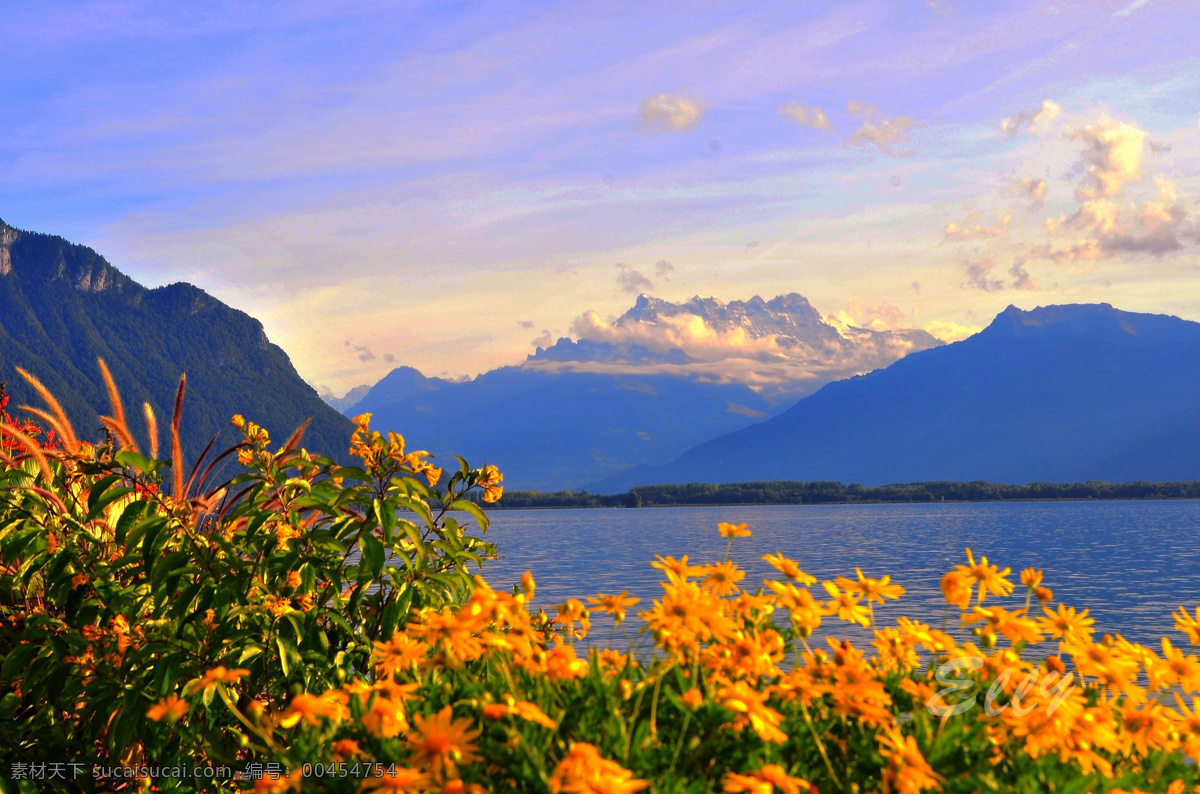 瑞士风光 欧洲 瑞士 蒙特勒 日内瓦湖畔 阿尔卑斯山 蓝天 彩云 花 风景 欧洲风光 国外旅游 旅游摄影