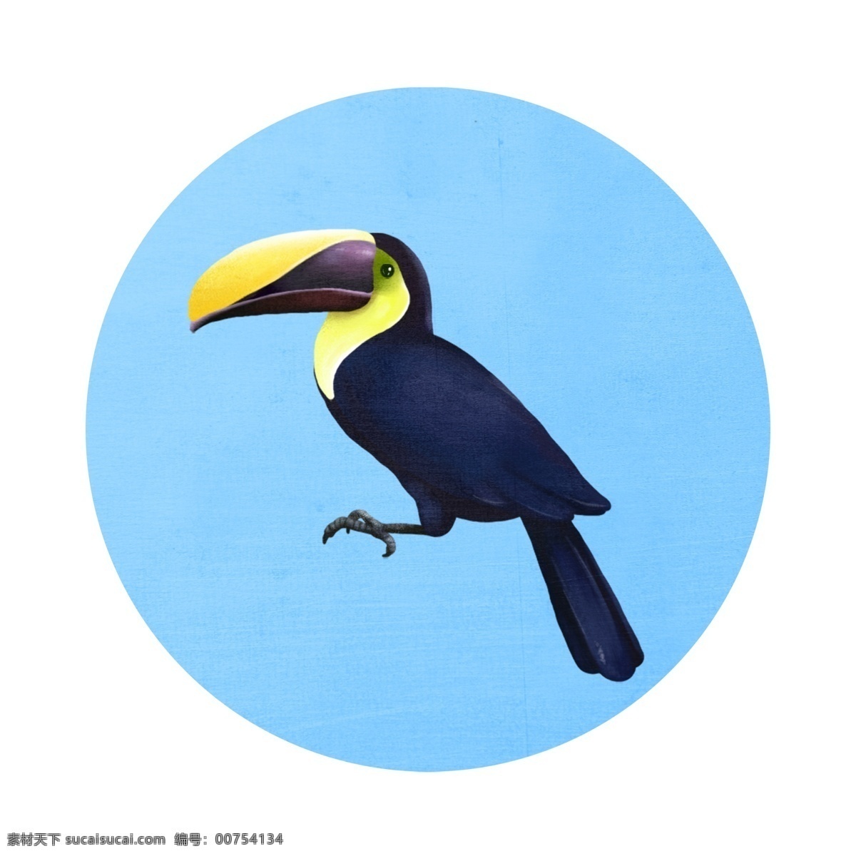 各种 风格 类型 鸟类 元素 插画 飞禽 节日 爱鸟日 巨嘴鸟 黑色 卡通 手绘