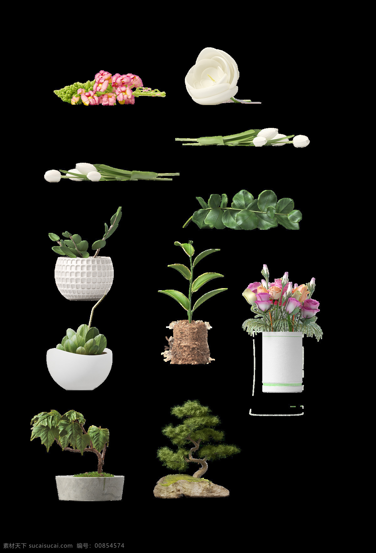 png元素 绿植 免抠元素 盆景 盆栽 透明素材 鲜花 元素