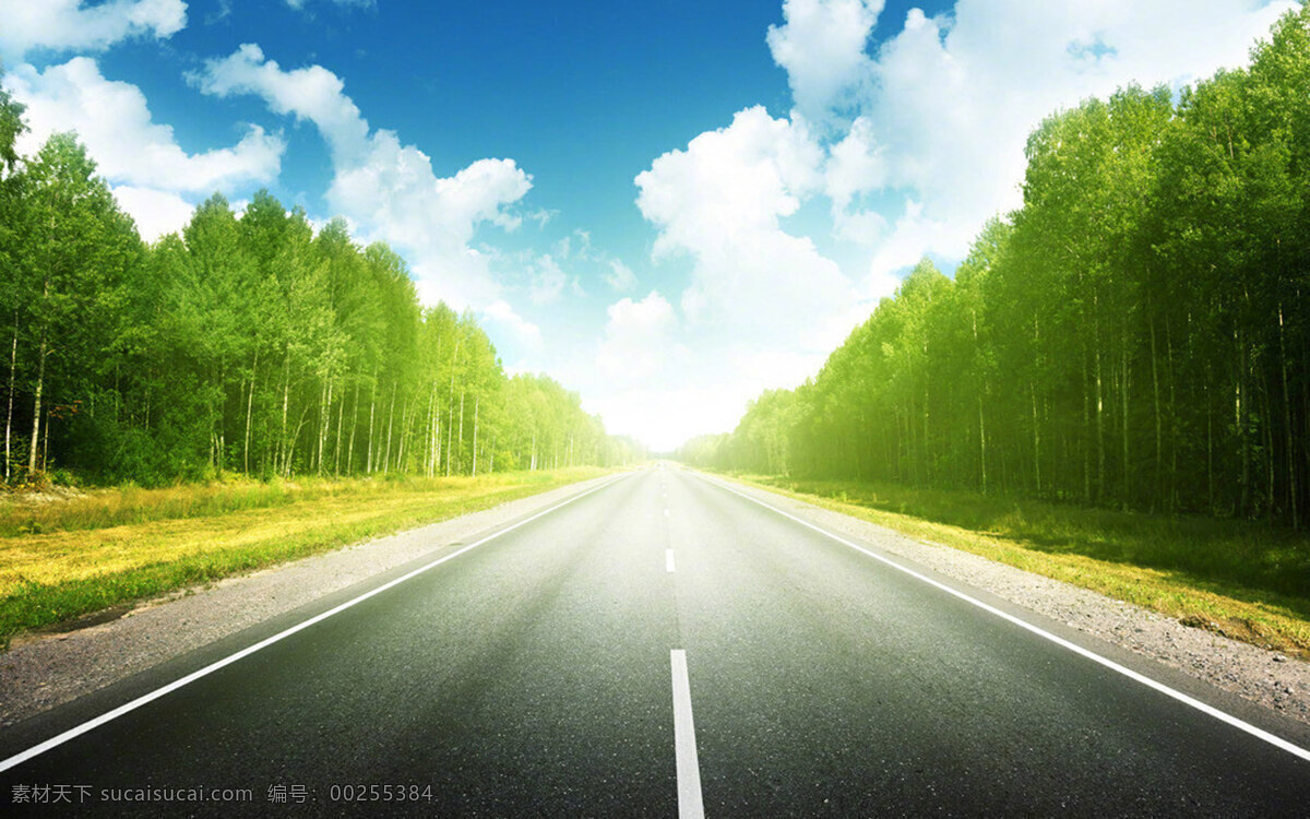 阳光 公路 场景 图 阳光公路 场景图 直线公路 冲击感公路 动感公路 蓝天白云 绿树 背景素材 自然景观 自然风光