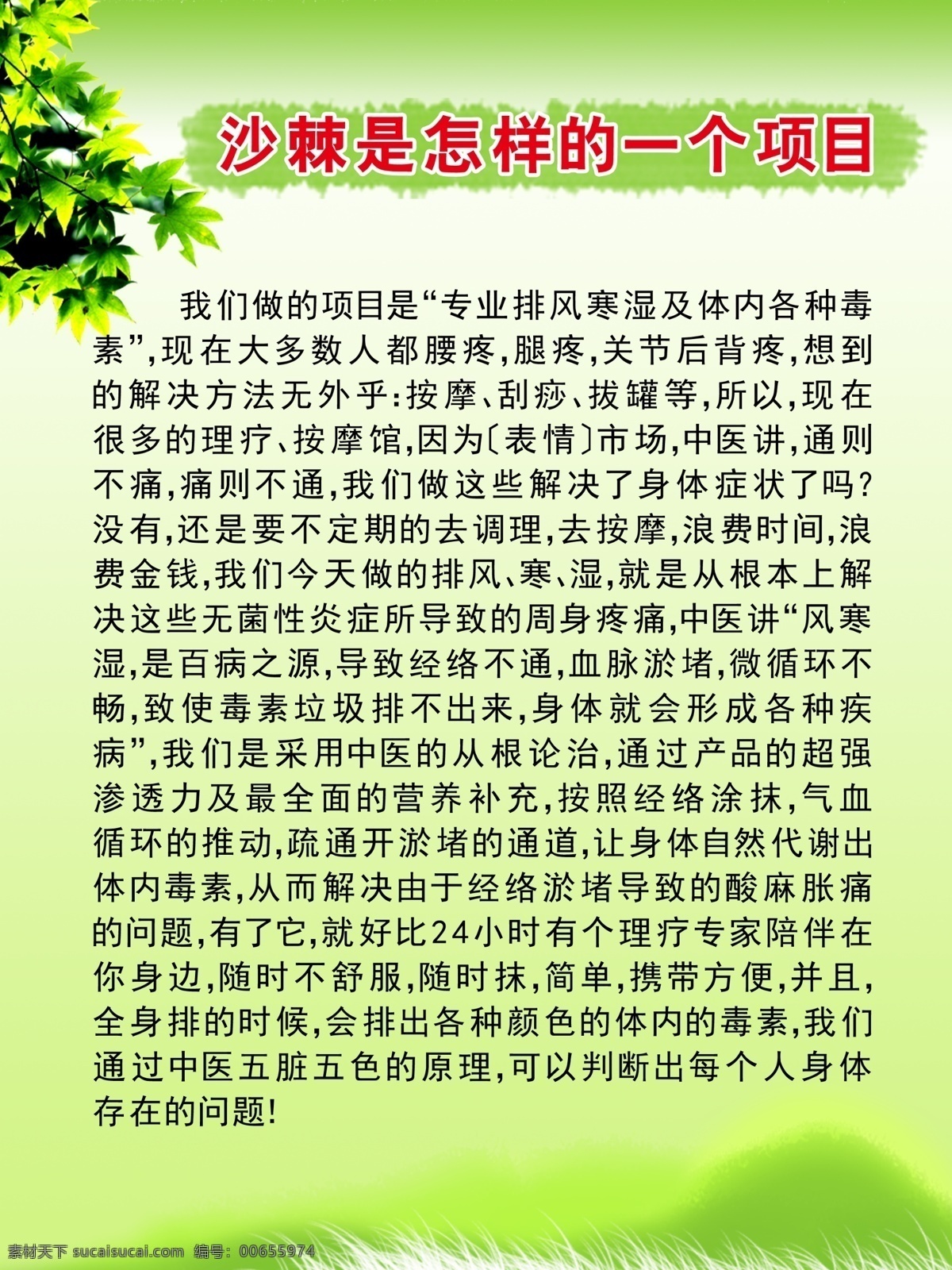 沙棘 一个 怎样 项目 是一个 怎样的 作用 分层