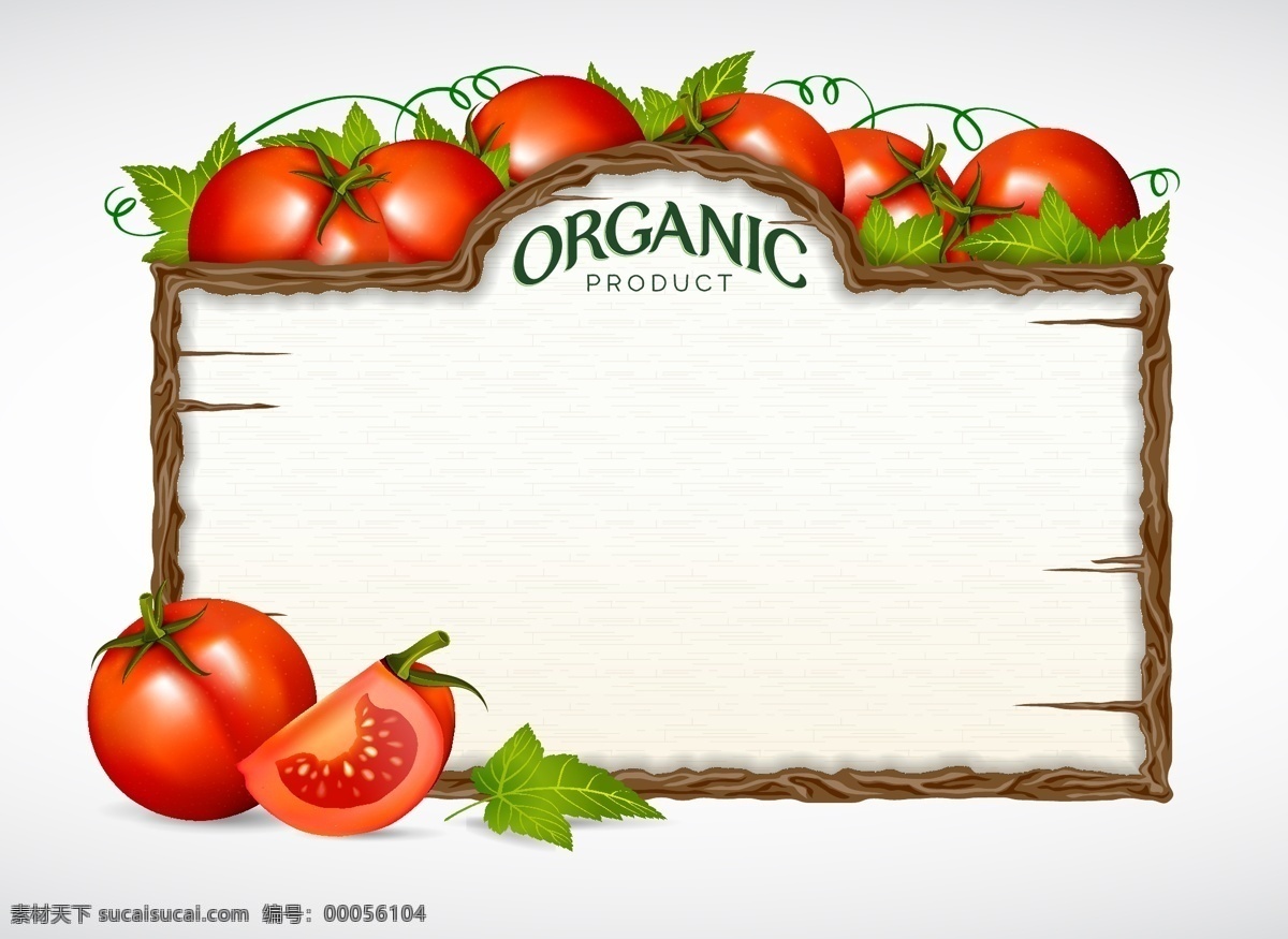 白斑 西红柿 白板 背景 边框 番茄 花纹 绿叶 蔬菜 树叶 矢量 叶子 矢量图 其他矢量图