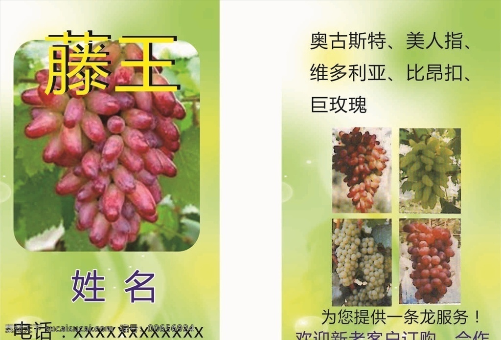 葡萄名片 绿色健康 自产葡萄 各种葡萄品种 纯天然葡萄 名片 名片卡片