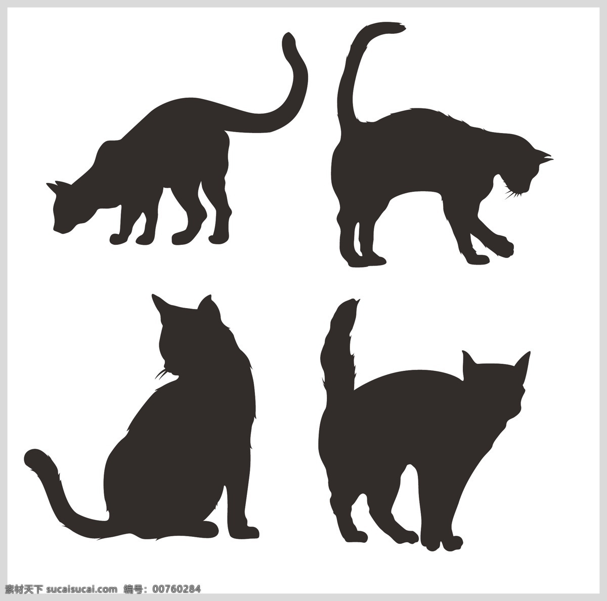 黑猫 矢量 猫 黑色 懒猫 大猫 家禽家畜 生物世界