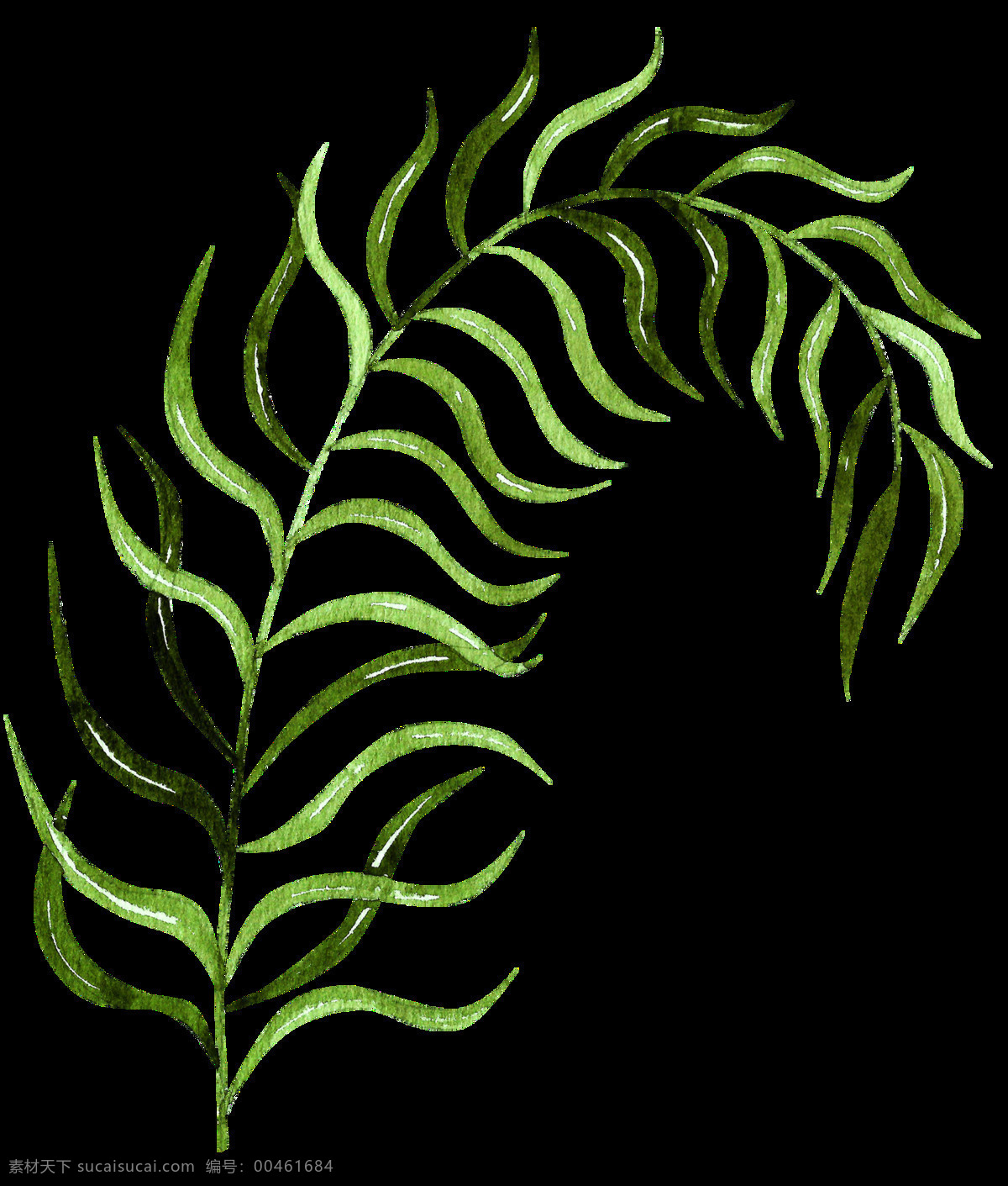 黑绿 海草 卡通 透明 植物 枝叶 透明素材 免扣素材 装饰图案