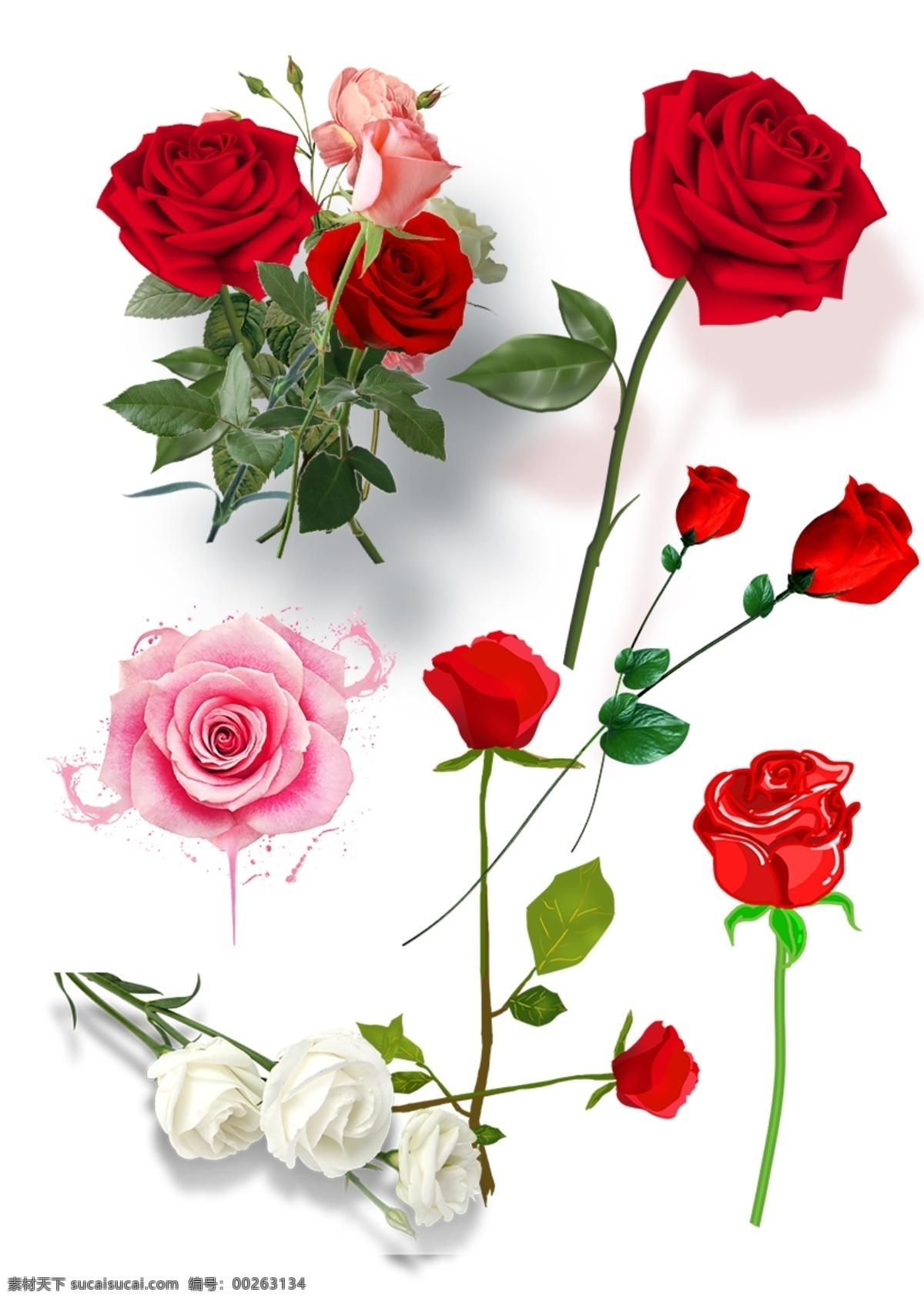玫瑰 红玫瑰 黄玫瑰 花 植物 美丽 妖艳 装饰 饰品 矢量玫瑰花 玫瑰花插画 玫瑰花图标 玫瑰花素材
