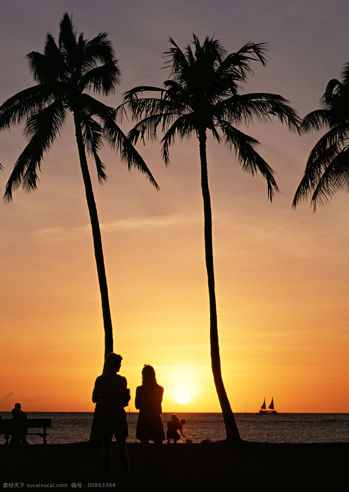 海边 日落 旅游 风景区 夏威夷 夏威夷风光 悠闲 假日 沙滩 热带树 人物剪影 大海图片 风景图片