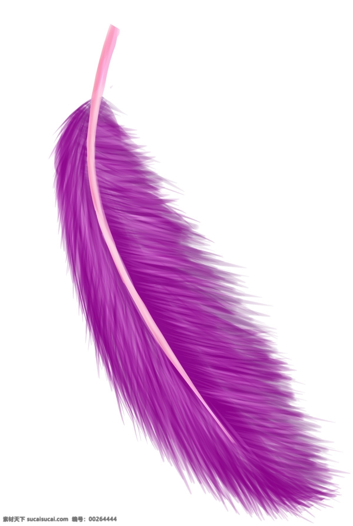 紫色羽毛羽翼 紫色羽毛 羽毛 羽翼