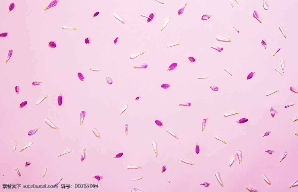 粉色背景 花瓣 花朵 花瓣背景 花朵背景 粉红 粉色素材 母亲节 浪漫 底纹边框 背景底纹