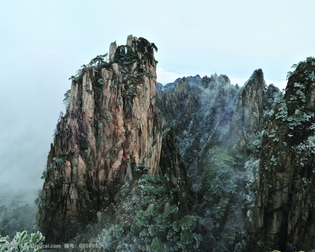 自然景观 山峰 雪松 云雾 石头 石山 如画风景 自然风景