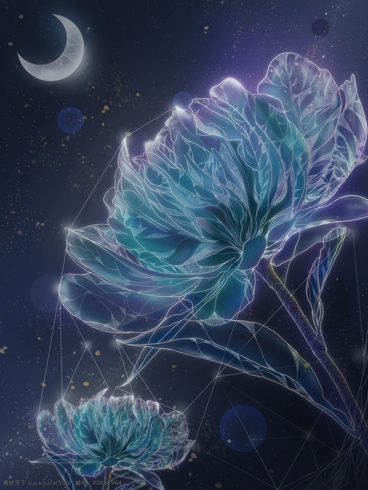 独特 透明感 星空 花朵 优雅 叶片 夜空 插画 星空花朵优雅 黑蓝 绿色 描线 线描 线圈 植物