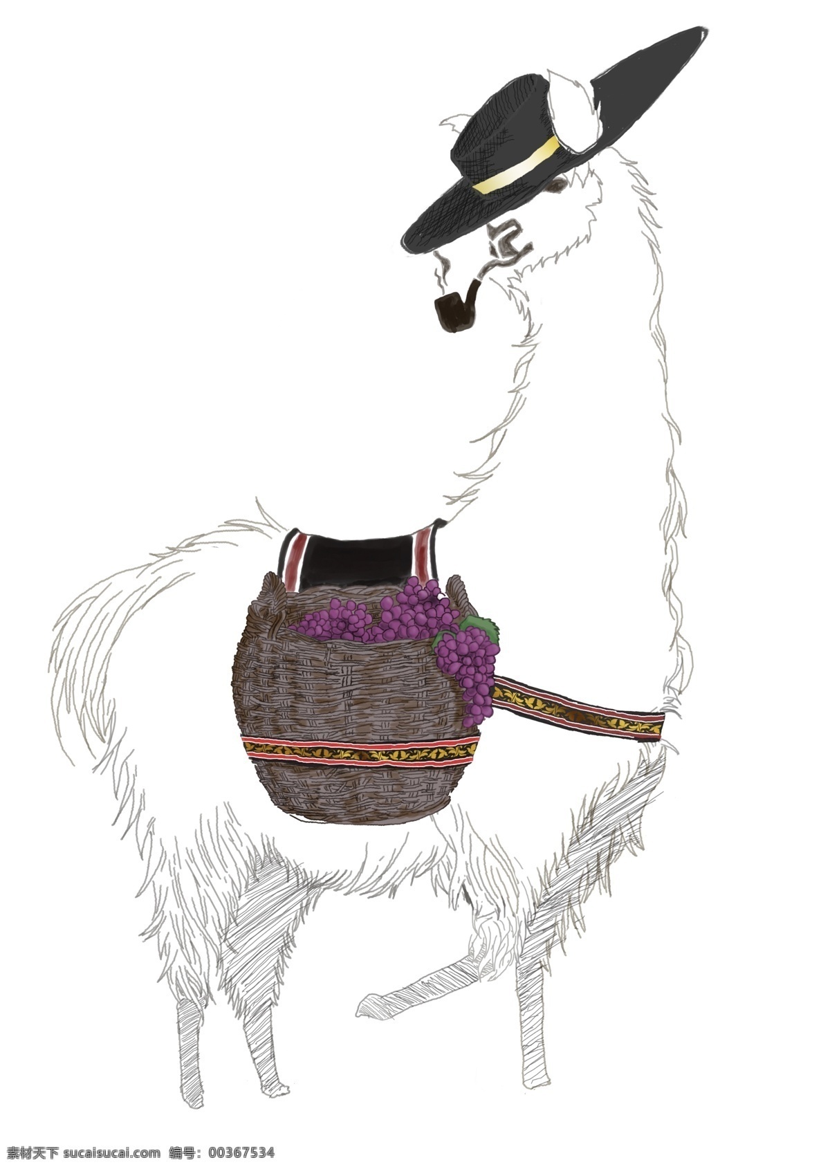 羊驼原创手稿 羊驼 llama 红酒 酒标 动物 素描 线稿 手稿 葡萄 手绘稿 分层图 智利