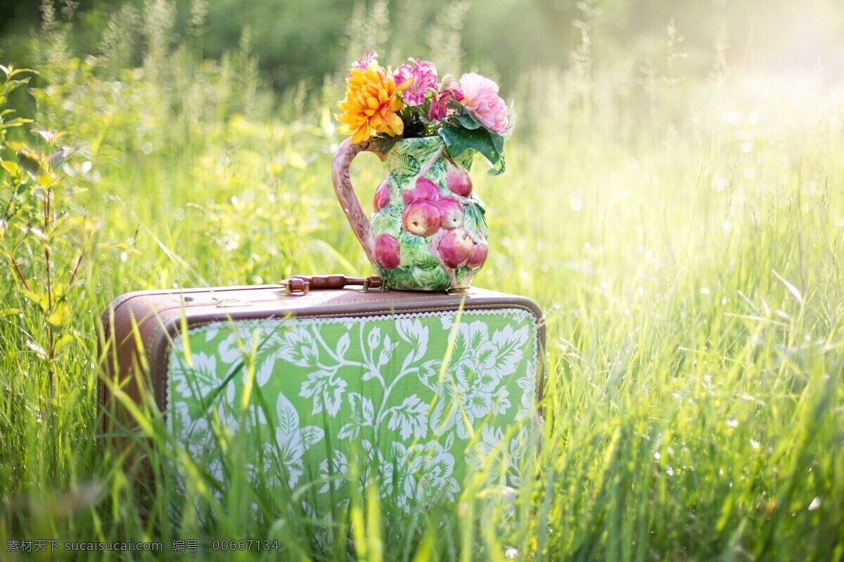 夏天静物鲜花 夏天静物 行李箱在现场 草 夏天 户外 鲜花
