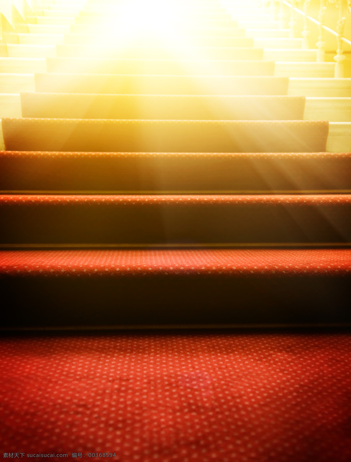 阳光 红 地毯 红地毯 阶梯 其他类别 生活百科