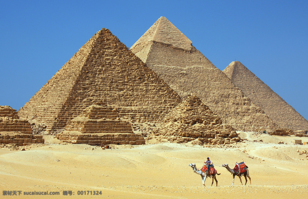 金字塔 美景 骆驼 埃及旅游景点 美丽风景 文明古迹 美丽景色 埃及金字塔 风景图片