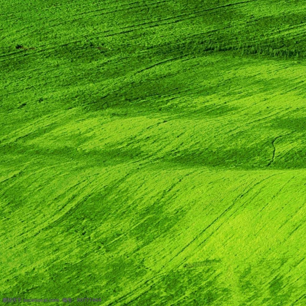 绿色质感首图 绿色 质感 底纹