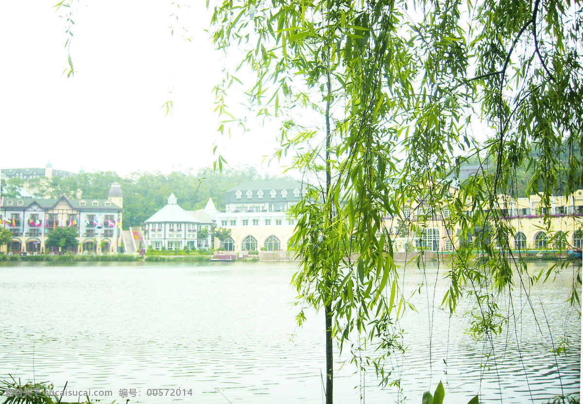 外景 绿色 水 建筑 阳光 清新 自然风景 自然景观