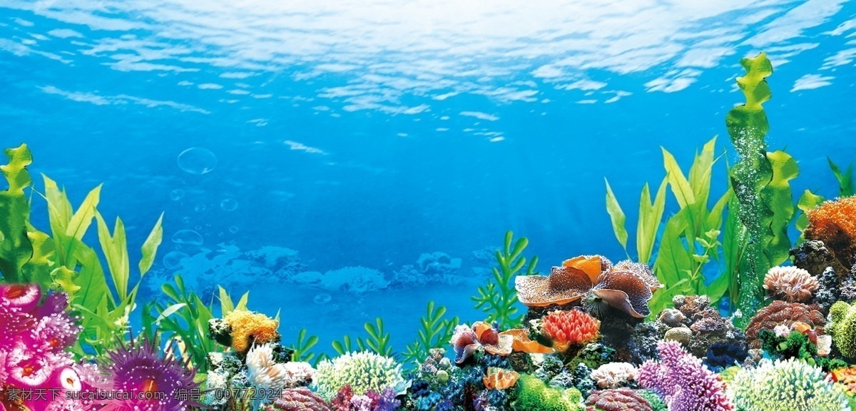 海底世界 水族箱背景 水草 五彩珊瑚 气泡 珊瑚礁 海底背景 蓝色 分层