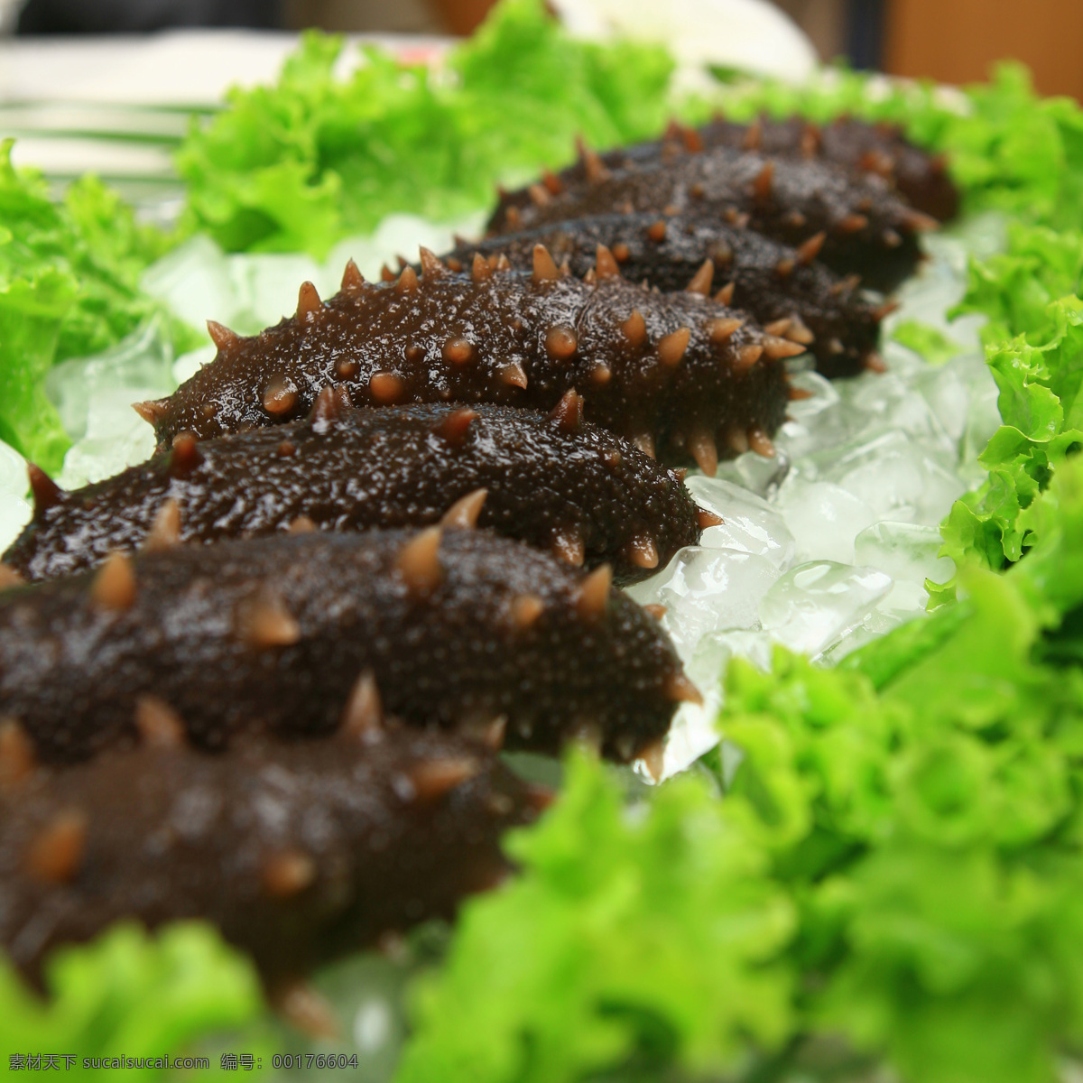 辽参 刺参 海参 海鲜 生菜 菜品 餐饮美食 传统美食