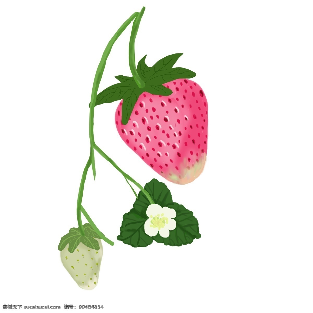 手绘 草莓 商用 元素 花朵 配图 卡通 粉嫩