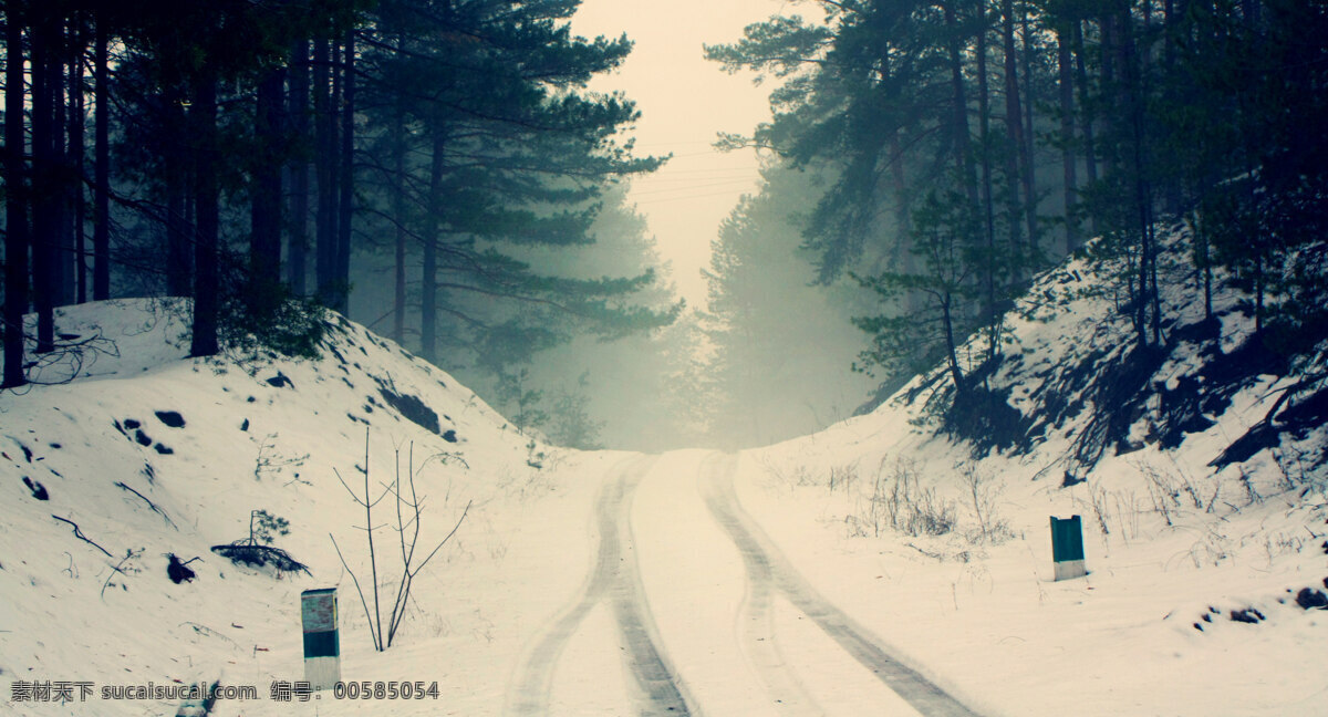 雪后 林间 道路