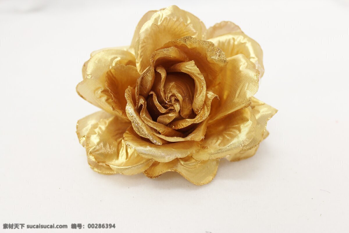 金色玫瑰 玫瑰花 玫瑰 唯美 花卉 玫瑰摄影 花草 生物世界