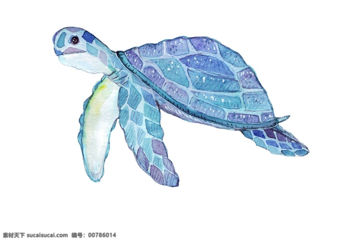 创意 海龟 水彩 矢量 海洋生物 矢量素材 设计素材 背景素材