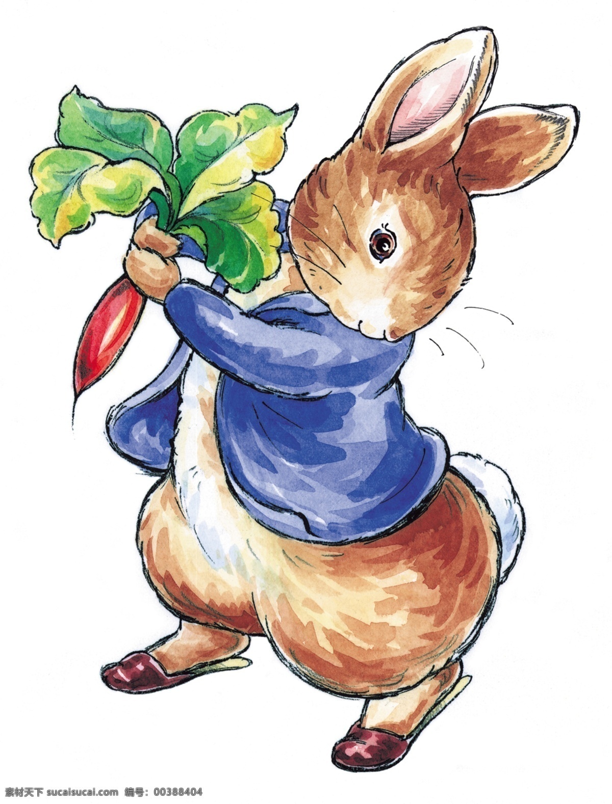 兔子 拔 萝卜 卡通 底纹边框 条纹线条