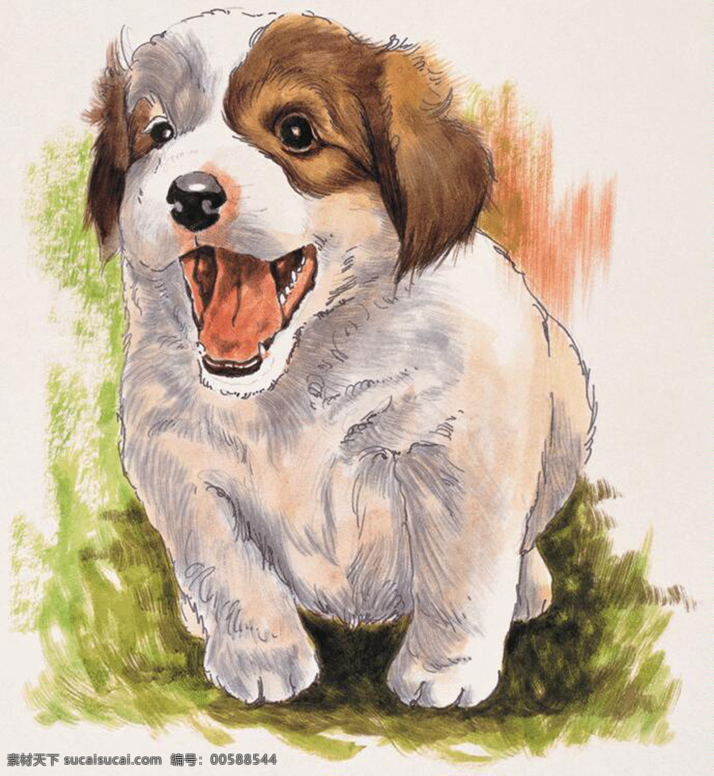 狗 家禽家畜 动物插图21 设计素材 动物插图 书画美术 白色
