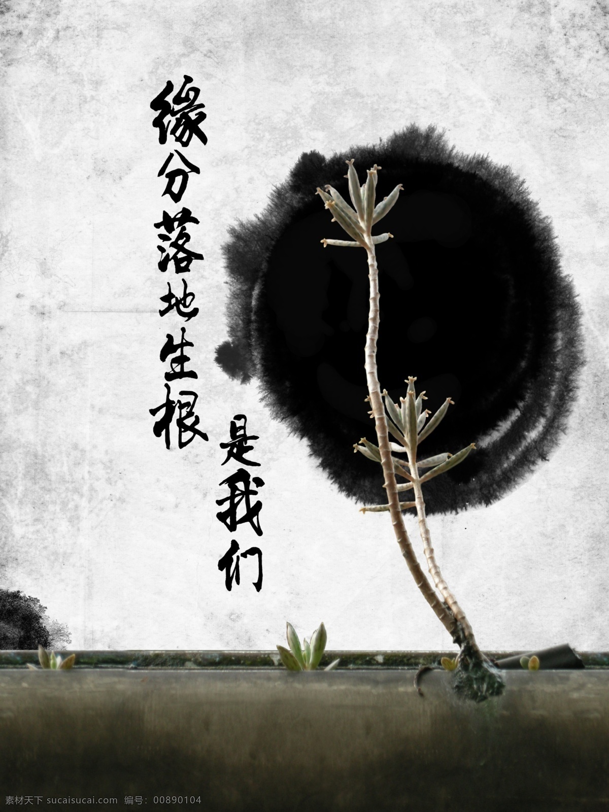 落地 生根 中国风 落地生根 多肉植物 海报 原创设计 原创海报