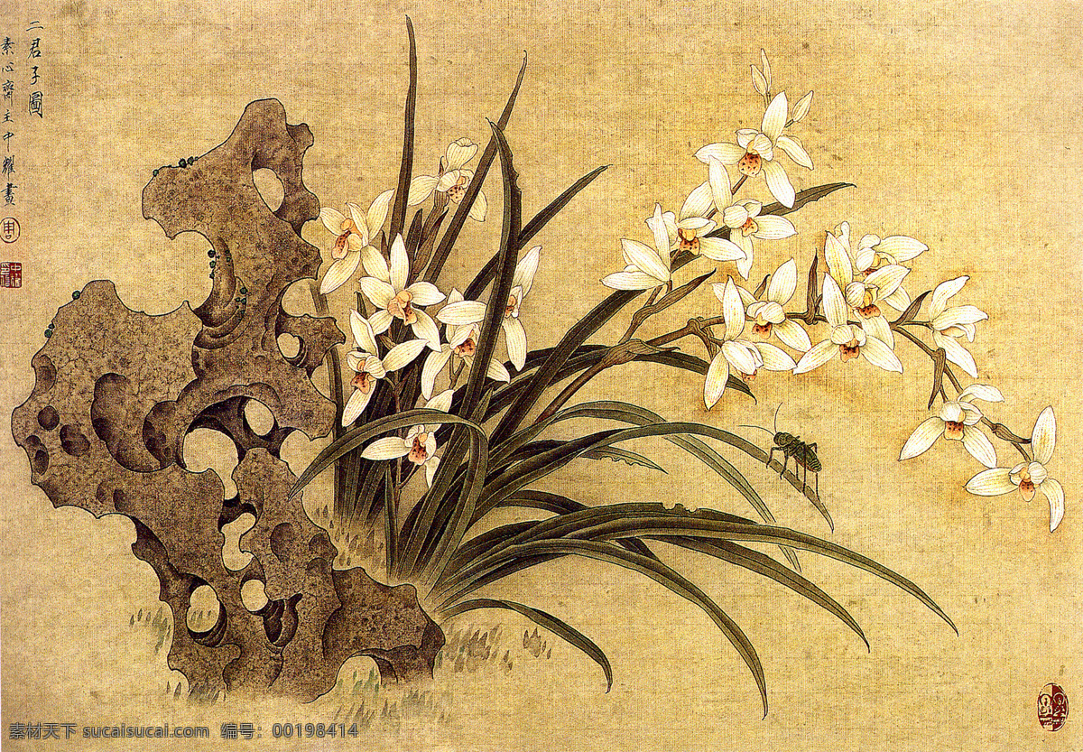 四君子 兰花 水墨画 植物花 石头 绘画书法 文化艺术