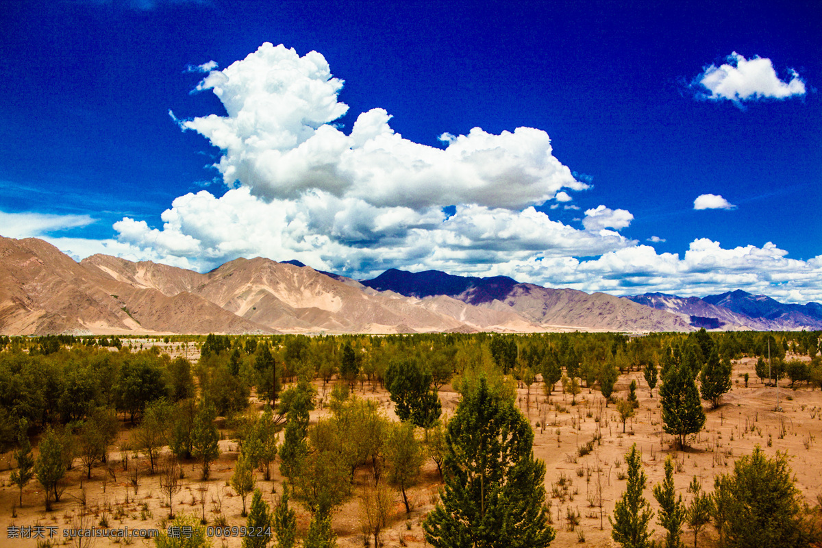 西藏风光 山脉 山岳 山丘 树丛 蓝天白云 旅游摄影 自然风景