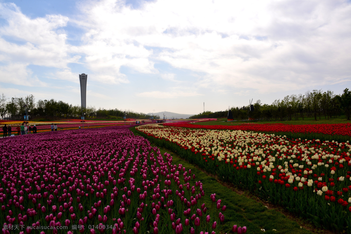 锦州世博园 原创 风光 锦州 世博园 郁金香 百花塔 自然风景 自然景观