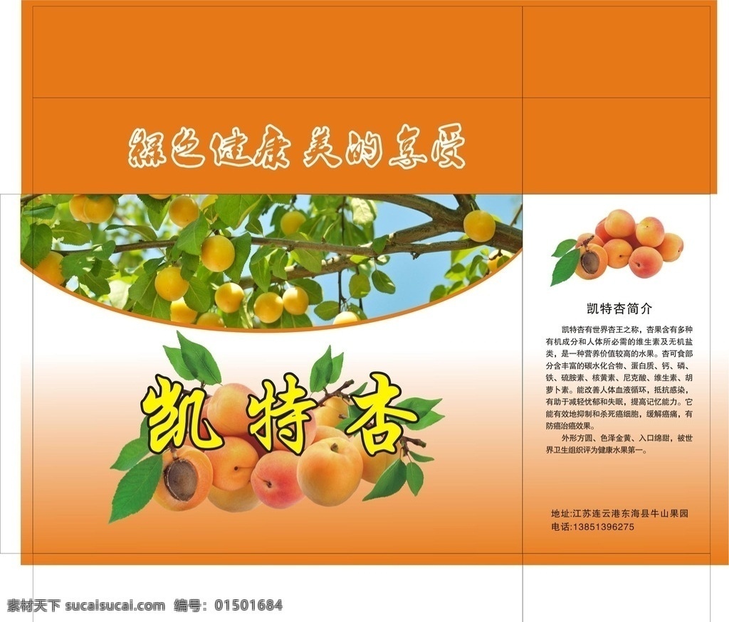 凯特杏包装 杏 杏包装 杏树 食品包装 绿色食品 水果包装 包装设计 广告设计模板