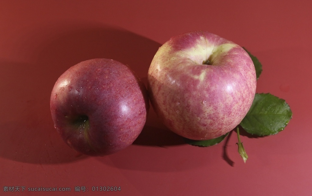 红色 底板 上 苹果 高清 大图 水果 水果图 红苹果 水果素材 苹果素材 苹果特写 紫色背景 苹果图片 苹果棚拍 苹果高清图 水果高清图 苹果图片下载 苹果设计素材 水果设计素材 生物世界