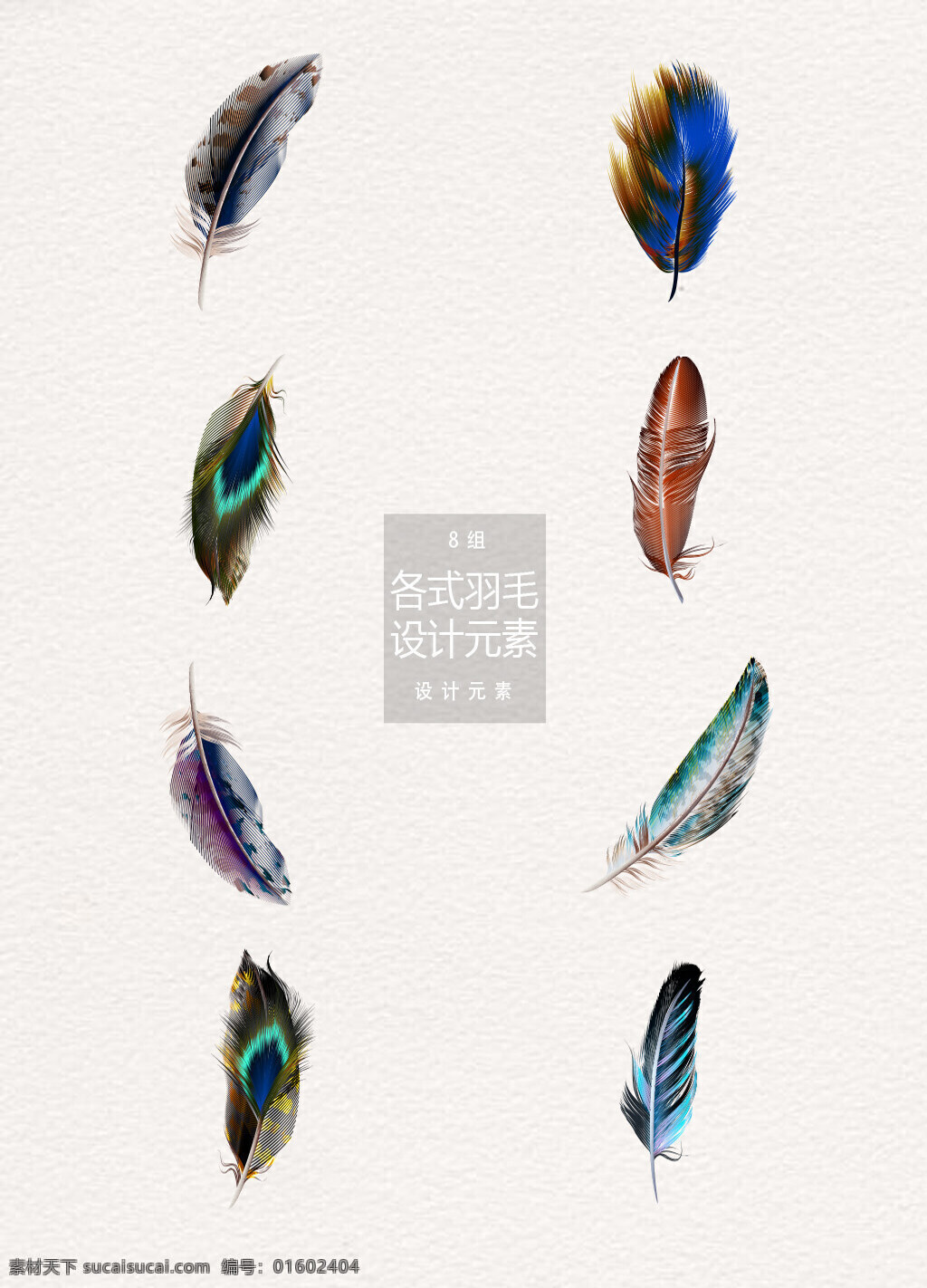 各式 鸟 羽毛 元素 鸟羽毛 鸟类羽毛 孔雀羽毛 孔雀